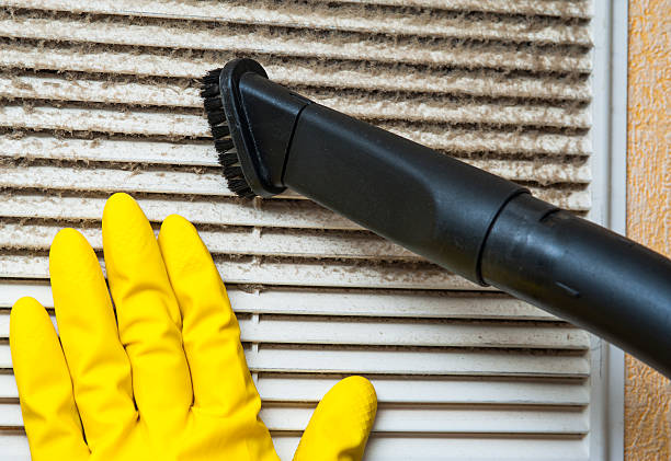 Best Ductwork Cleaning Services  in Valencia West, AZ